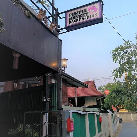 Purple Monkey Backpackers Chiang Mai-2